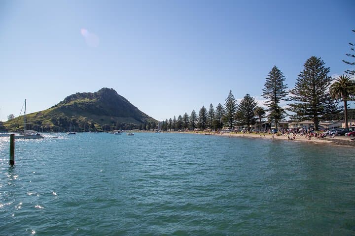 Tauranga Scenic History & Kiwifruit Tasting Tour — 4hr Mount Maunganui Experience