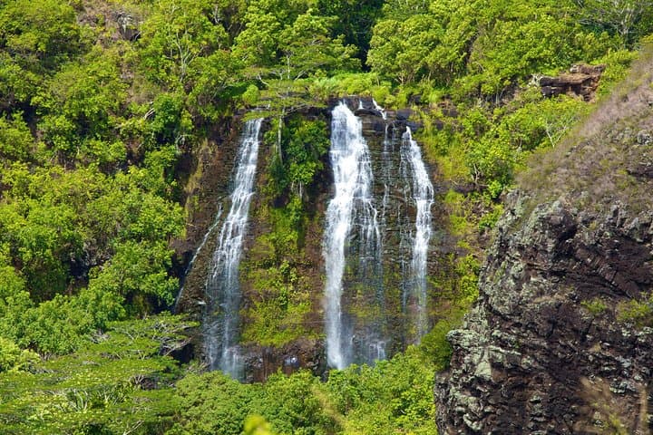 Best of Kauai: Fern Grotto River Cruise & Kilauea Lighthouse Day Tour photo 3