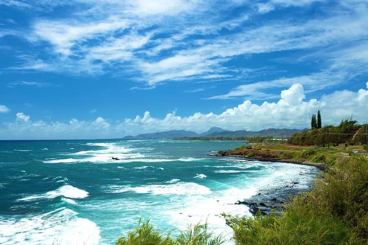 Best of Kauai: Fern Grotto River Cruise & Kilauea Lighthouse Day Tour photo 4