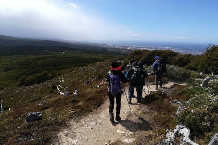 Private Patagonian Forest Hike from Punta Arenas — 4-Hour Guided Lenga Trail & Strait Views photo 6