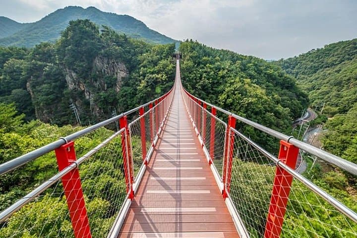 DMZ 3rd Tunnel Tour from Seoul — Suspension Bridge & Imjin River Options photo 2