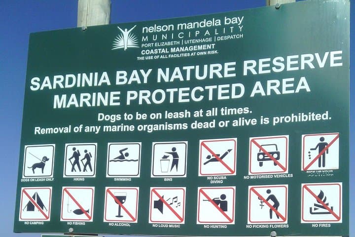 Guided Marine Walk at Sardinia Bay MPA — 1.5-Hour Coastal Ecology Tour photo 3