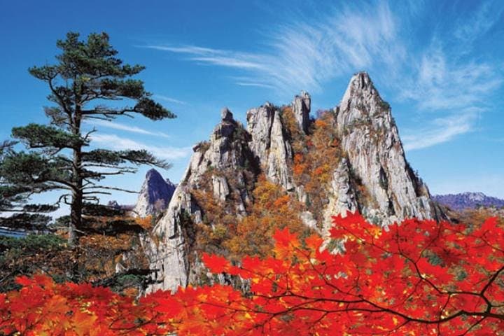 10-Day Autumn Tour: Jeonju, Naejangsan, Seorak, Jeju & Busan (Early November) photo 4