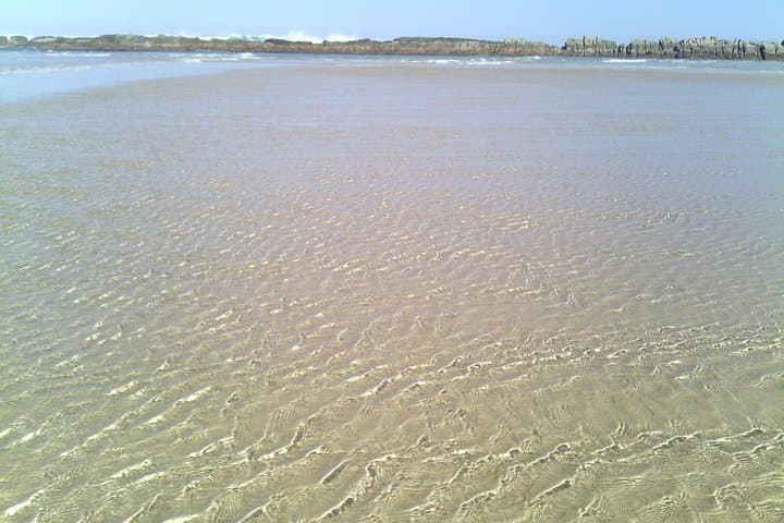 Guided Marine Walk at Sardinia Bay MPA — 1.5-Hour Coastal Ecology Tour photo 2