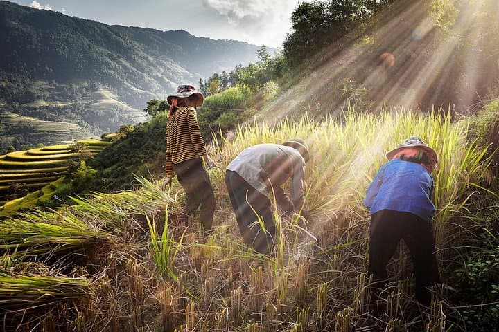 4-Day Trekking in Ha Giang: Tay Con Linh & Dong Van Karst Plateau photo 4