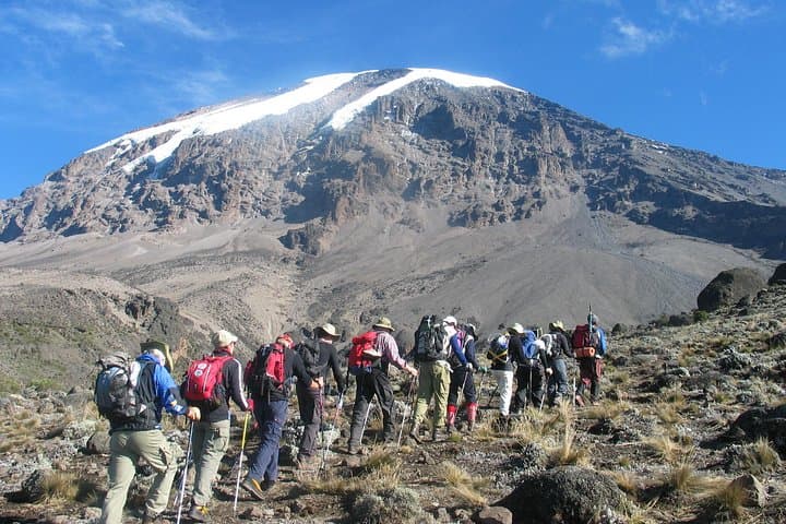 Scaling Mount Kilimanjaro via the Marangu Route: A 6-Day Journey from Rainforest to Summit photo 2