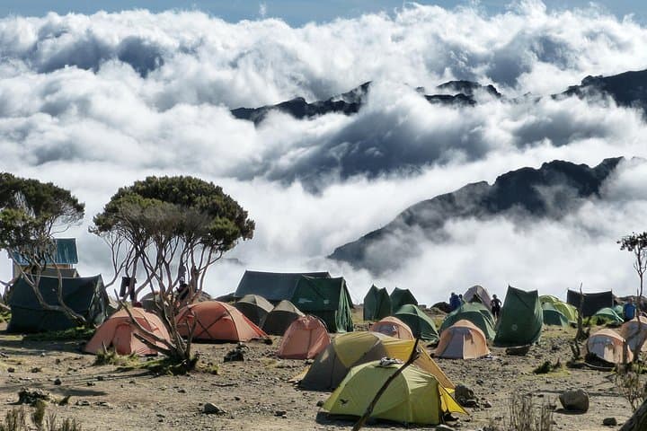 Scaling Mount Kilimanjaro via the Marangu Route: A 6-Day Journey from Rainforest to Summit photo 5