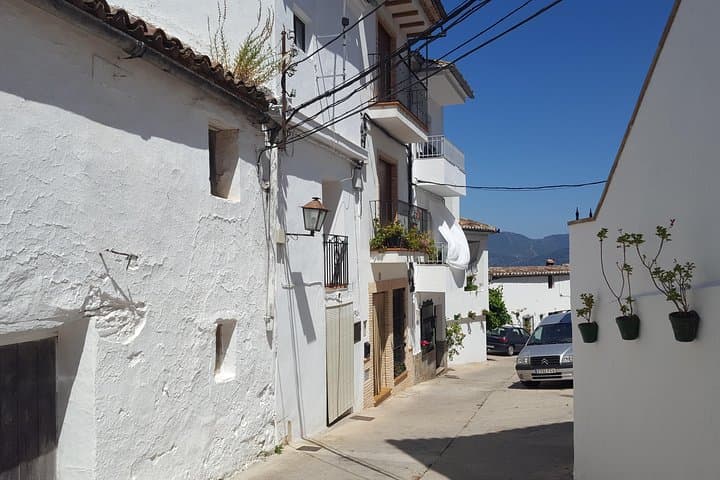 E-Bike Wine & Tapas Tour from Ronda — Half-Day Through El Jaral, El Gastor & Montecorto