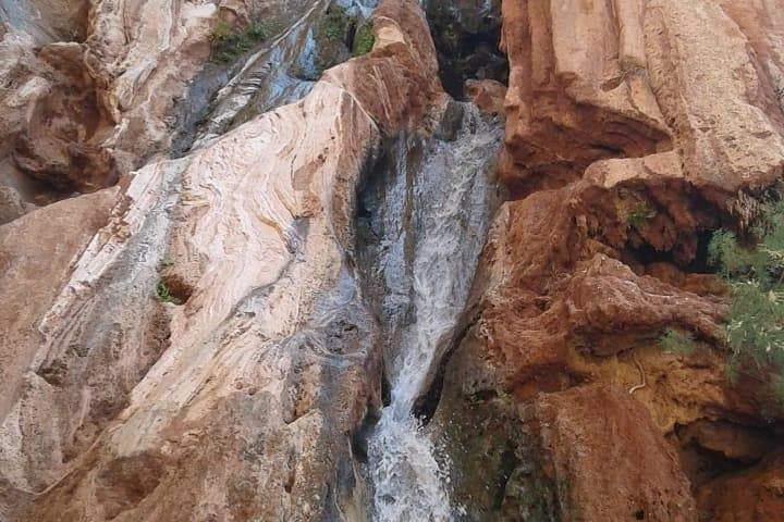 Ouzoud Waterfalls Day Trip from Marrakech — Cascades d'Ouzoud & River Swim photo 6