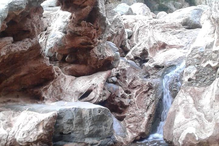 Ouzoud Waterfalls Day Trip from Marrakech — Cascades d'Ouzoud & River Swim photo 4