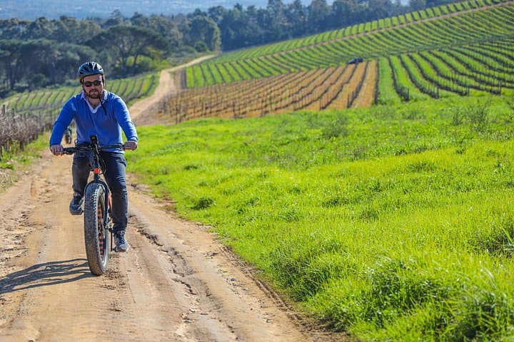 Electric Bike Winelands Tour from Cape Town: Full-Day Stellenbosch E-Bike & Wine Experience photo 4