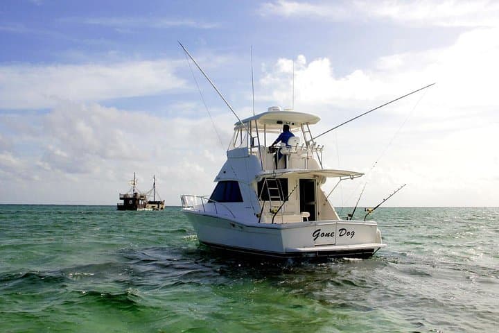 Deep Sea Adventure: Private Six Hour Fishing Charter in Punta Cana photo 4
