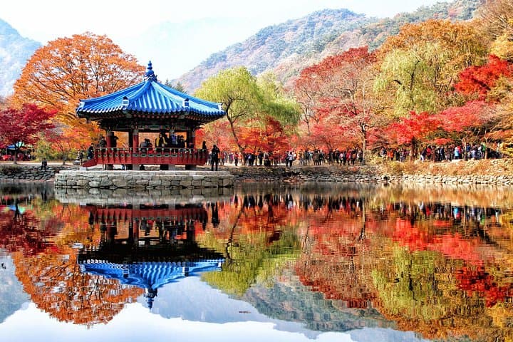 Naejangsan Autumn Foliage and Jeonju Hanok Village Day Tour from Seoul