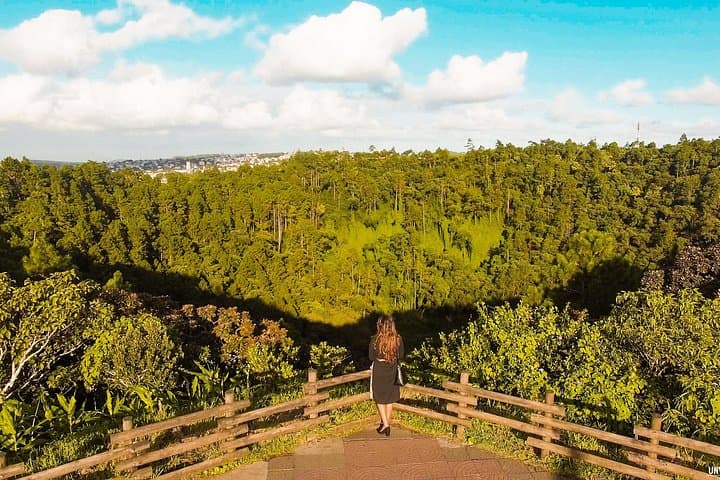 Full-Day South Mauritius Tour — Trou Aux Cerfs, Bois Cheri Tea & Saint Aubin Rum photo 1