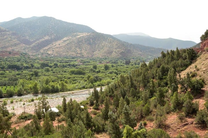 Marrakech Three Valleys Day Trip: Ourika, Asni & Lalla Takerkoust with Berber Lunch