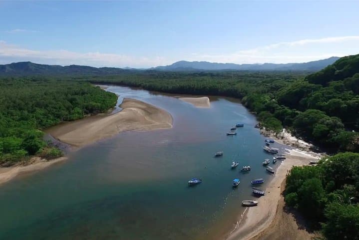 Tamarindo River Boat Tour: Mangrove Wildlife Cruise from Tamarindo photo 1