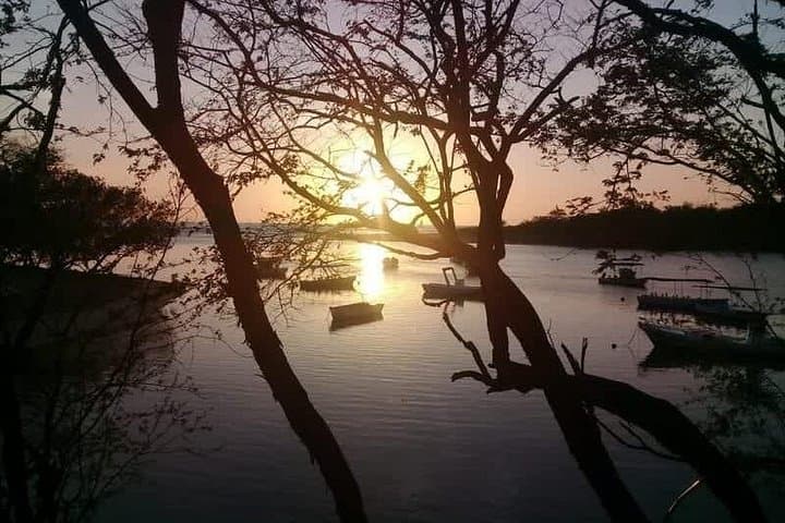 Tamarindo River Boat Tour: Mangrove Wildlife Cruise from Tamarindo photo 2