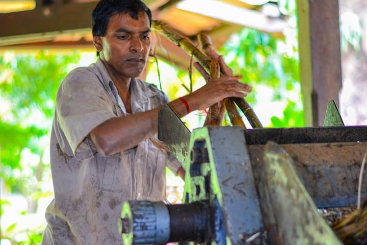 Full-Day South Mauritius Tour — Trou Aux Cerfs, Bois Cheri Tea & Saint Aubin Rum photo 4