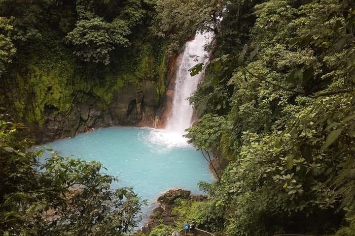 Blue River and Sloths: Río Celeste, Tenorio Hike & Llanos de Cortez Waterfall photo 6