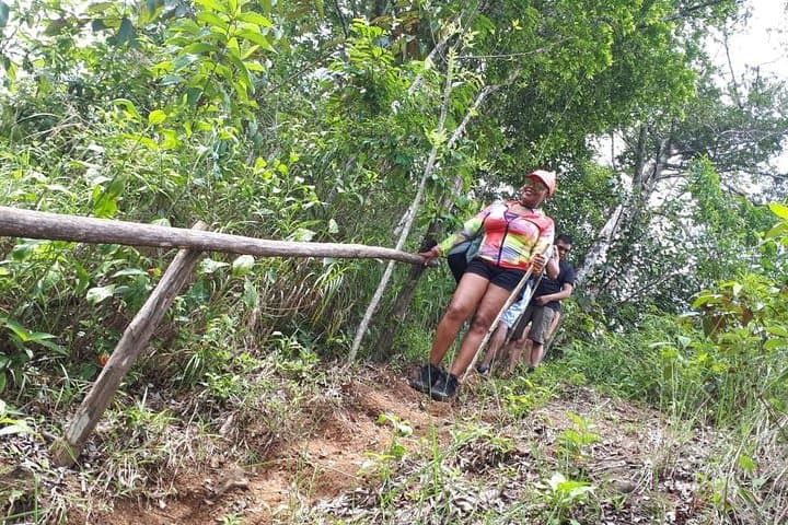 Panama Jungle Tour: Monkey Trails, Waterfalls & Pipeline Road Adventure photo 3