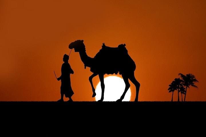 Bedouin Dinner & Camel Safari in Sharm El Sheikh — Evening Desert Experience photo 2