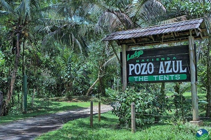 Zip the Sarapiquí Rainforest: Canopy Tour at Hacienda Pozo Azul photo 4