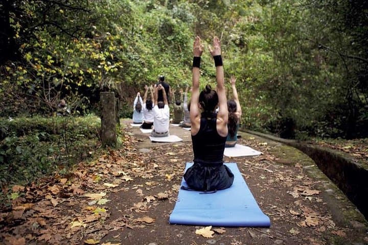 Volcanic Yoga on Mt Etna: A 3-Day Meditation Weekend Amid Lava Woods photo 5