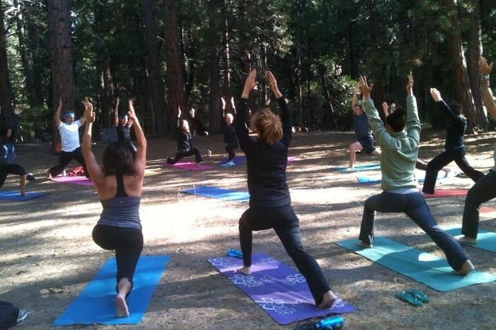 Volcanic Yoga on Mt Etna: A 3-Day Meditation Weekend Amid Lava Woods photo 6