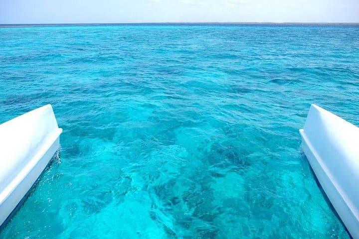 Day Trip to Saona Island: Snorkel, Beach Buffet & Party Boat from Punta Cana photo 3