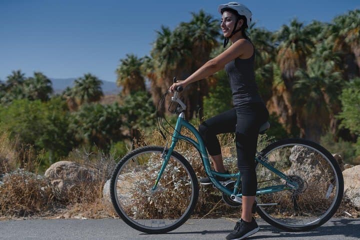 Palm Springs Indian Canyons Bike and Hike: Guided Ride to Agua Caliente Palm Oases photo 3