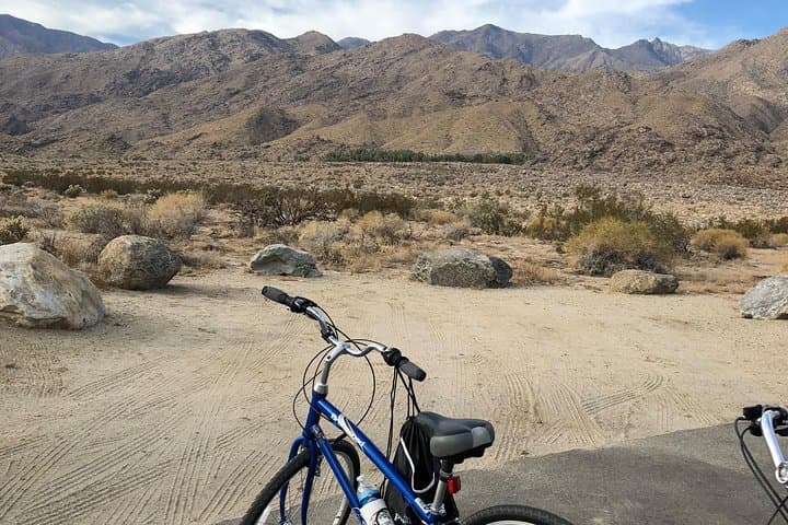 Palm Springs Indian Canyons Bike and Hike: Guided Ride to Agua Caliente Palm Oases photo 6