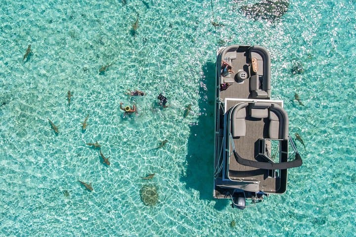 Private Bora Bora Lagoon Tour: Snorkel with Rays & Sharks, Lunch Included