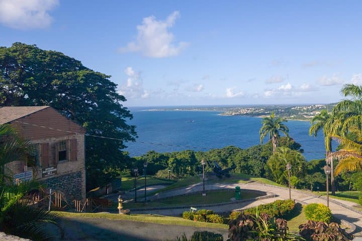 Tobago Island Tour: Scenic North Coast Drive, Fort King George & Castara Bay Snorkel
