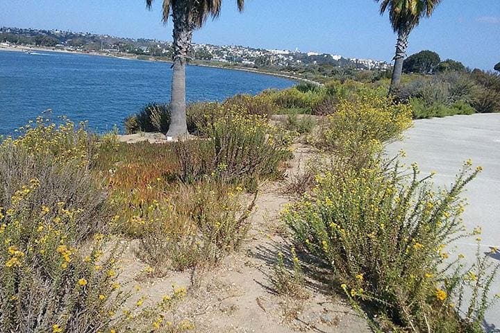 Bike Around San Diego Bay to the Ocean: Mission Bay to Pacific Beach Bike Tour photo 5