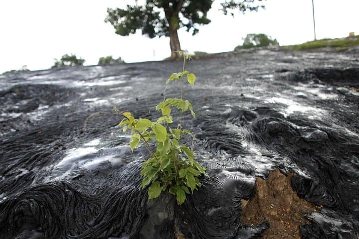 Pitch Lake & Cultural Wonders: La Brea Asphalt, Sewdass Sadhu Temple & Hanuman Murti photo 3