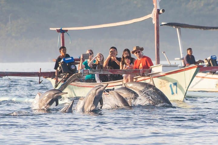 Lovina Dolphin Watching & Gitgit Waterfall Private Tour with Lunch photo 2
