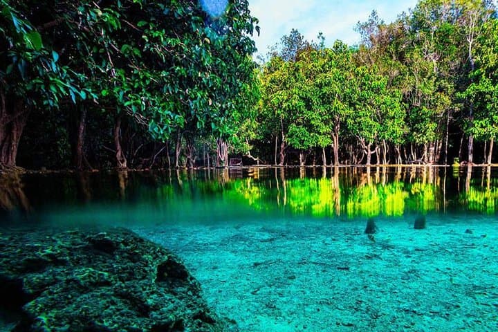 Krabi Jungle Adventure: Emerald Pool, Hot Springs & ATV Riding