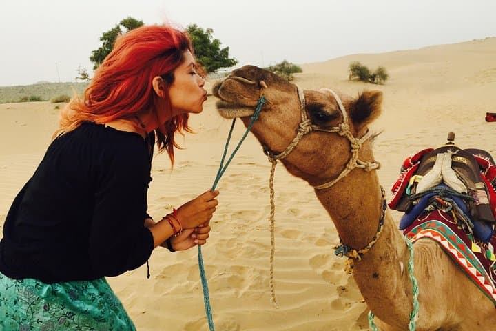 Shahi Overnight Camel Safari in Jaisalmer — Non-Touristic Sand Dune Camp photo 6