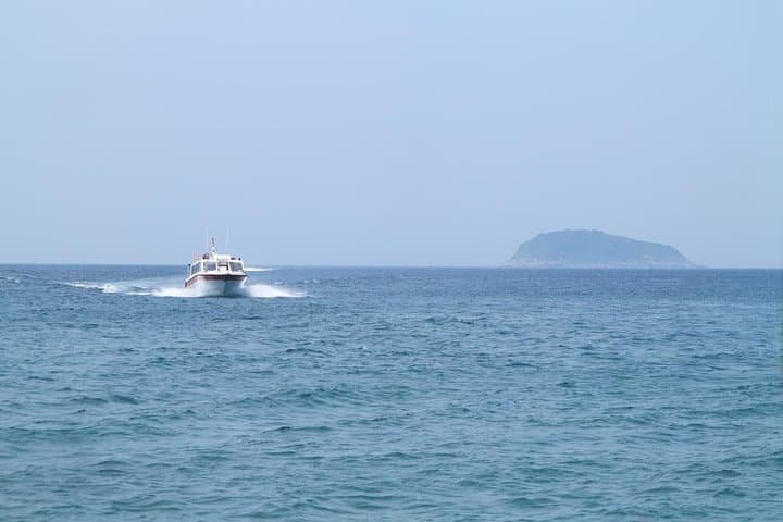 Cham Island Half-Day Discovery from Hoi An — Snorkel, Pagodas & Biosphere Reserve photo 4