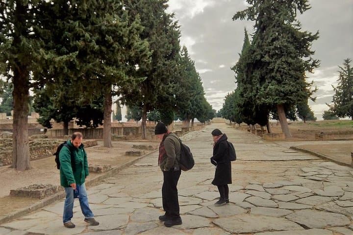Itálica Ruins & Game of Thrones Dragonpit: Seville Roman Empire Tour photo 4
