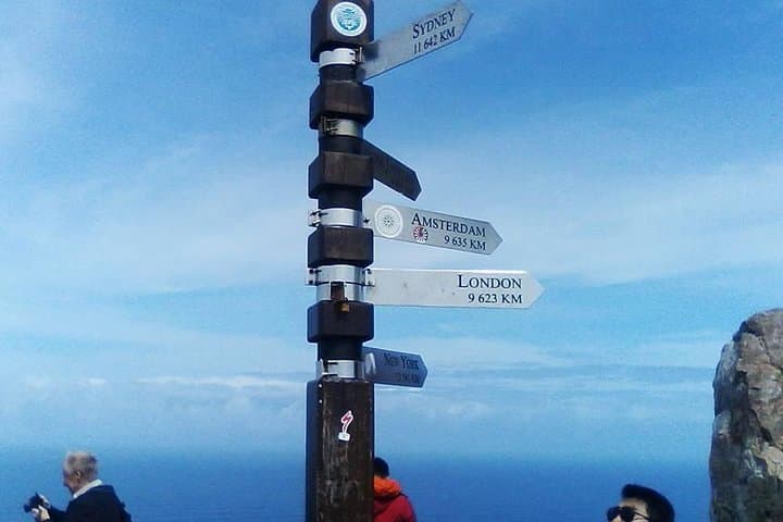 Cape Point Peninsula Tour: Penguins, Fynbos & Coastal Drives from Cape Town photo 6