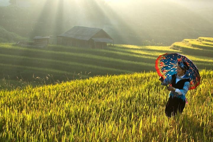 Sapa Trekking: 2-Day Homestay Trek from Hanoi via Lao Cai photo 5
