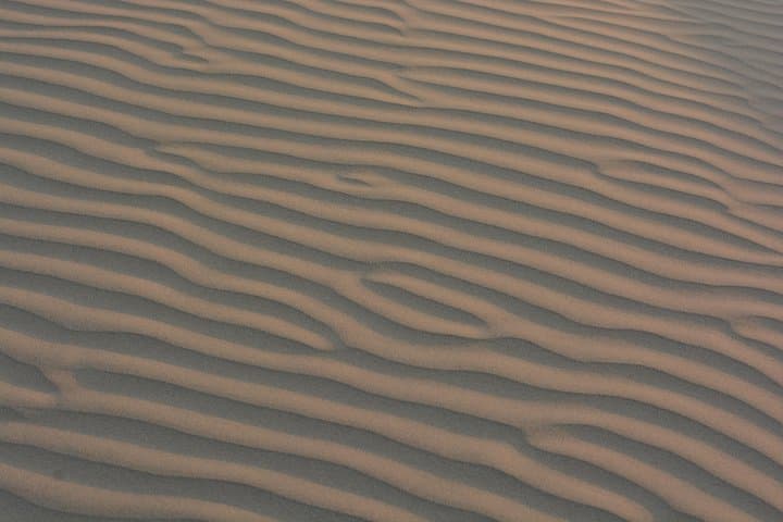 Jaisalmer Sand Dune Camel Safari and Desert Dinner at Sunset photo 3