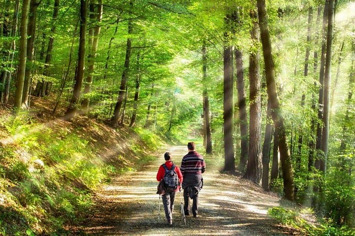 Forest Bathing on Mount Etna: A Volcanic Wellness Weekend photo 3