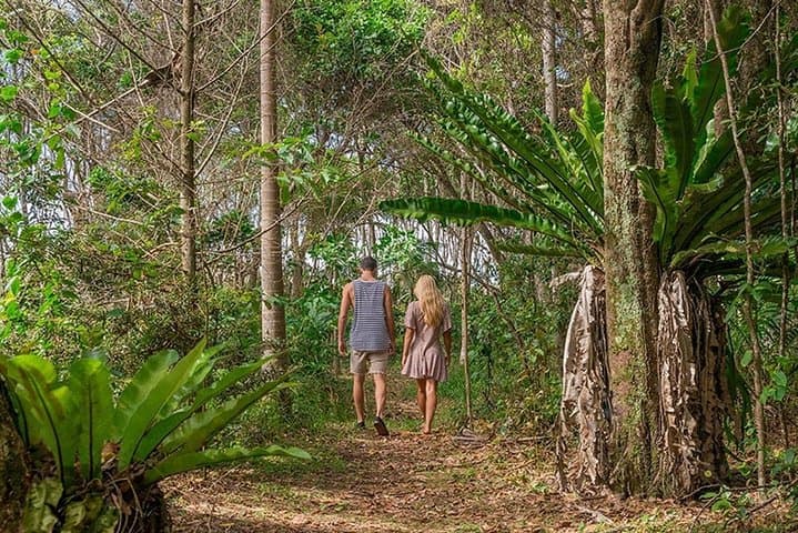 Forest Bathing on Mount Etna: A Volcanic Wellness Weekend photo 4