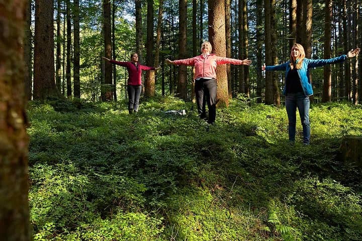 Forest Bathing on Mount Etna: A Volcanic Wellness Weekend photo 6