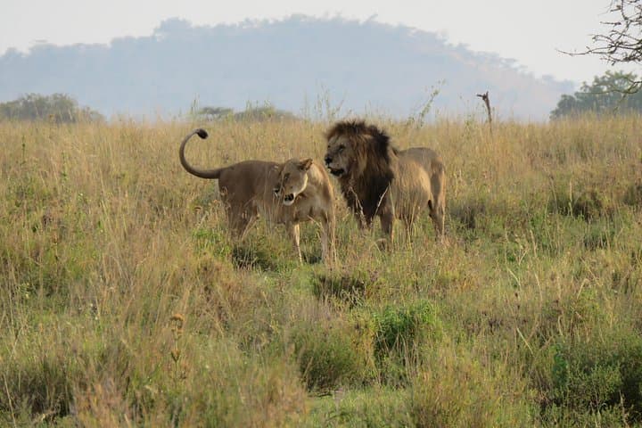 Arusha National Park Game Drive & Walking Safari — Day Tour from Arusha photo 5