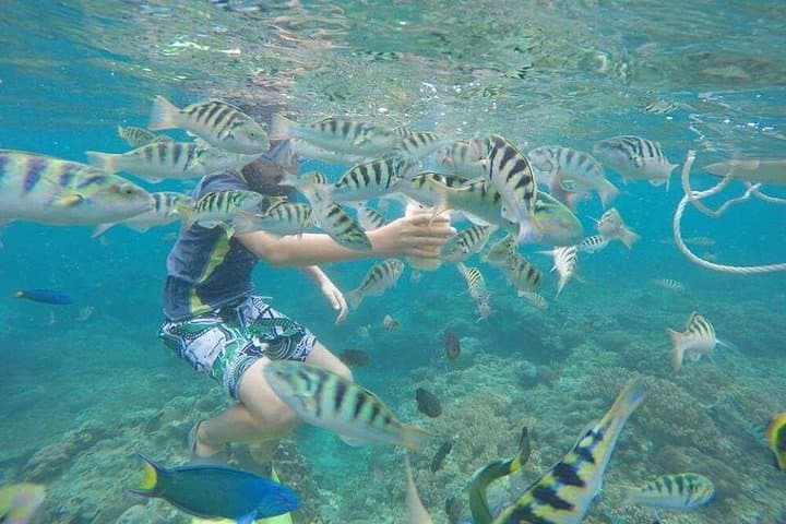 Blue Lagoon & Tanjung Jepun Snorkeling — Padang Bai Private Tour photo 6