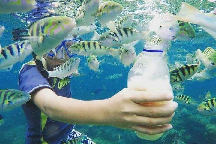 Blue Lagoon & Tanjung Jepun Snorkeling — Padang Bai Private Tour photo 5