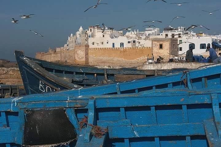 Essaouira Day Trip from Marrakech: Coastal Medinas, Argan Forests & Wine Tasting photo 5